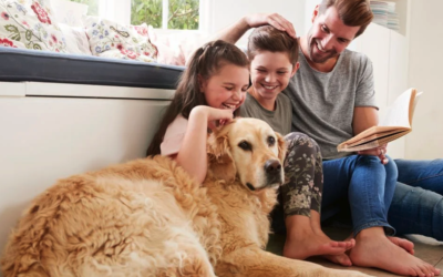 Heating System Upgrades: When Is It Worth Making the Switch?