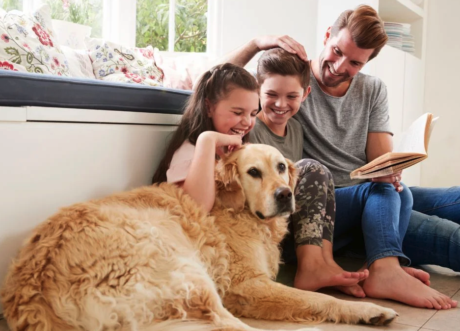 Heating System Upgrades: When Is It Worth Making the Switch?