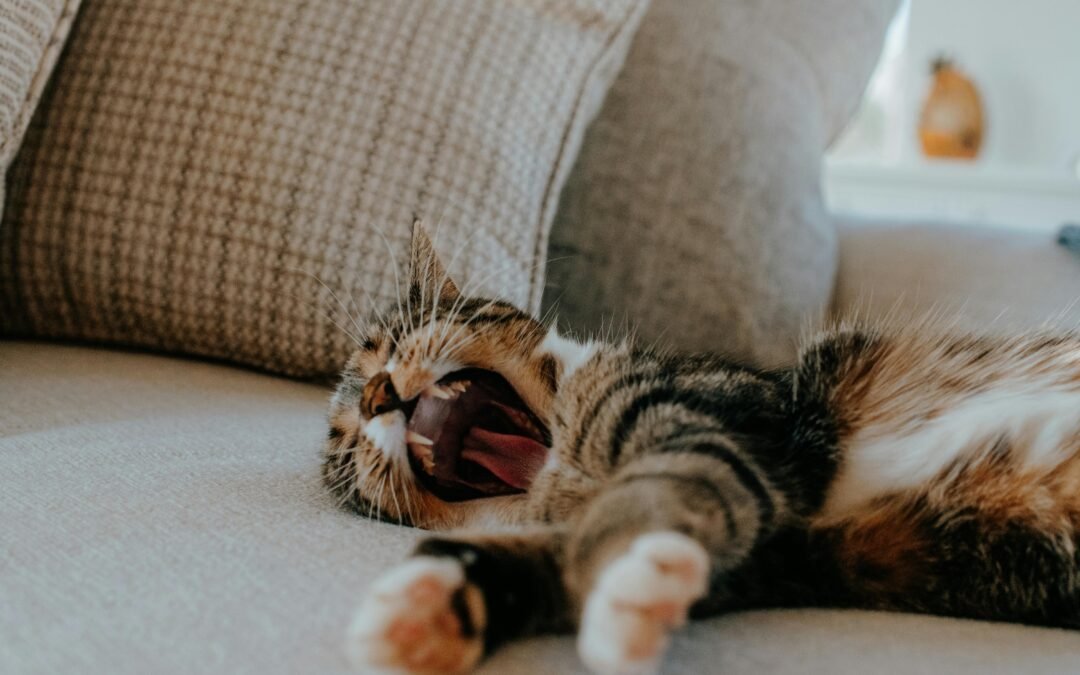 Central Heating Maintenance: How Often and What to Expect