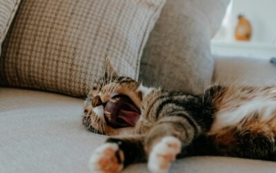 Central Heating Maintenance: How Often and What to Expect